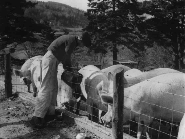 Shawbridge Boys Farm in 1949.